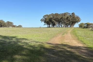 Farm Sold - WA - Broomehill West - 6318 - Patch of Paradise  (Image 2)