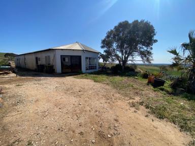 Farm Sold - SA - Cambrai - 5353 - Affordable, large property. Exceptional views to the horizon. Add your vision, effort and up-dating to create an amazing country property.  (Image 2)