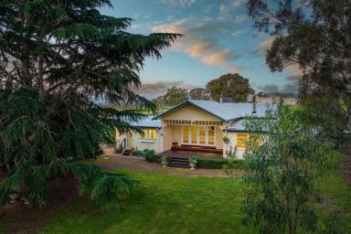 Farm For Sale - VIC - Longwood - 3665 - At The Foot of Mt Teneriffe, A Multifaceted Farm and Lifestyle Haven  (Image 2)