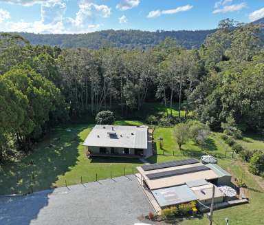 Farm Sold - NSW - Stewarts River - 2443 - “Dalley Valley” Your Hidden Oasis  (Image 2)