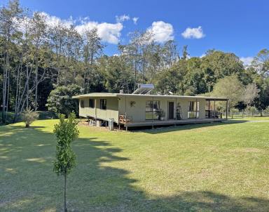 Farm Sold - NSW - Stewarts River - 2443 - “Dalley Valley” Your Hidden Oasis  (Image 2)