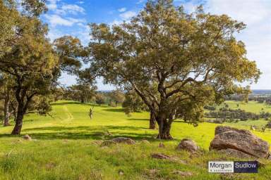 Farm Sold - WA - Coolup - 6214 - Views that will Take your Breath Away!  (Image 2)