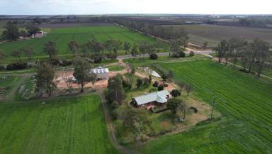 Farm For Sale - VIC - Piangil - 3597 - Unbelievable Opportunity: Your Dream Riverside Oasis Awaits!  (Image 2)