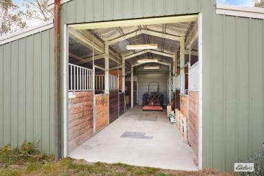 Farm For Sale - NSW - Tarraganda - 2550 - DREAMS DO COME TRUE  (Image 2)
