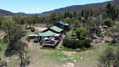 Farm For Sale - nsw - Sandy Hollow - 2333 - A Walk in Walk Out Very Well Establsihed Property  (Image 2)