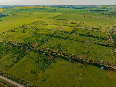 Farm For Sale - NSW - Wagga Wagga - 2650 - Multiple Income Streams – Renowned Mixed Farming Region  (Image 2)