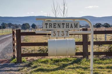 Farm Sold - NSW - Goulburn - 2580 - JEWEL OF THE SOUTHERN TABLELANDS - AUCTION 21st September 2023 at 10.00 AM AEST.  (Image 2)