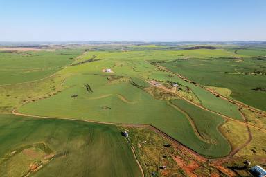 Farm Sold - WA - East Nabawa - 6532 - PREMIER PROPERTY OVERLOOKING THE CHAPMAN VALLEY  (Image 2)