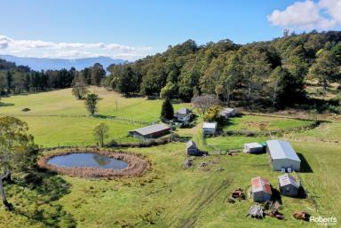 Farm For Sale - TAS - Mount Lloyd - 7140 - Rural Delight  (Image 2)