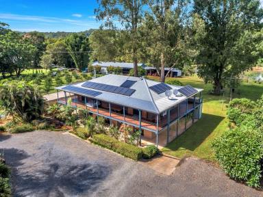 Farm For Sale - NSW - Bellingen - 2454 - Merrick Farm - A stunning lifestyle property  (Image 2)
