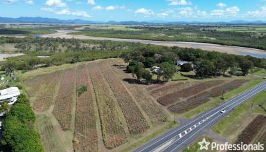 Farm For Sale - QLD - Alligator Creek - 4740 - Great Family Lifestyle Rural Block 15 Minutes to the City  (Image 2)