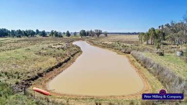 Farm Sold - NSW - Dubbo - 2830 - Well Situated Grazing & Farming Country  (Image 2)