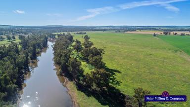 Farm Sold - NSW - Geurie - 2818 - Well Respected Macquarie River Property  (Image 2)