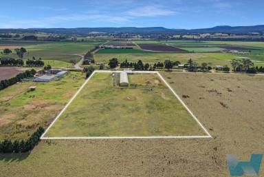 Farm For Sale - VIC - Lindenow - 3865 - Rural Setting With Planning Permit  (Image 2)