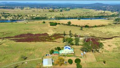 Farm Expressions of Interest - NSW - Lilydale - 2460 - New Farm  (Image 2)