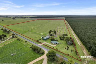 Farm Sold - SA - Glenburnie - 5291 - Grazing Land set on approximately 60 Acres on Mt Gambier's doorstep!  (Image 2)