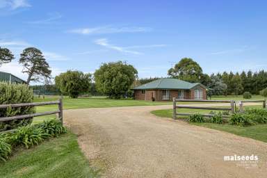 Farm Sold - SA - Glenburnie - 5291 - Grazing Land set on approximately 60 Acres on Mt Gambier's doorstep!  (Image 2)