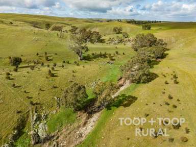 Farm Sold - SA - Eden Valley - 5235 - Kappalunta - Eden Valley  (Image 2)