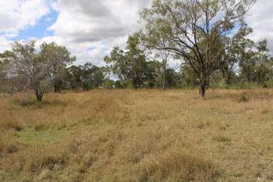 Farm Sold - QLD - Stanwell - 4702 - Family home with land in Stanwell  (Image 2)