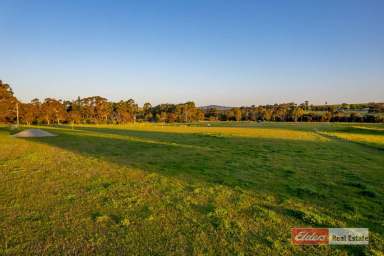 Farm Sold - WA - Kendenup - 6323 - What will you build?  (Image 2)