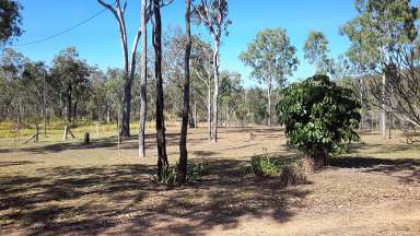 Farm Sold - QLD - Silver Valley - 4872 - Bush setting at Silver Valley  (Image 2)