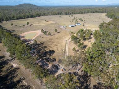 Farm Sold - QLD - South Isis - 4660 - A BIG SLICE OF COUNTRY LIFESTYLE  (Image 2)