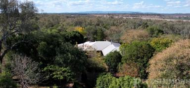 Farm Sold - QLD - Dalby - 4405 - 20 PRIVATE ACRES – 10 MINUTES TO DALBY  (Image 2)