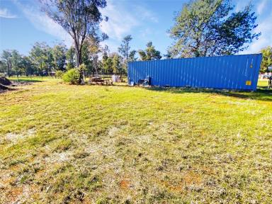 Farm For Sale - NSW - Matong - 2652 - LIFE WITH NATURE  (Image 2)