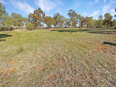 Farm For Sale - NSW - Matong - 2652 - LIFE WITH NATURE  (Image 2)