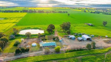Farm For Sale - NSW - Culcairn - 2660 - Mixed Farming Opportunity - Culcairn.  (Image 2)