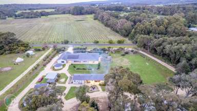 Farm For Sale - WA - Augusta - 6290 - Incredible Property Offering: 4 year old Home, Licensed Camp Ground and Down South Land Holding all in one  (Image 2)