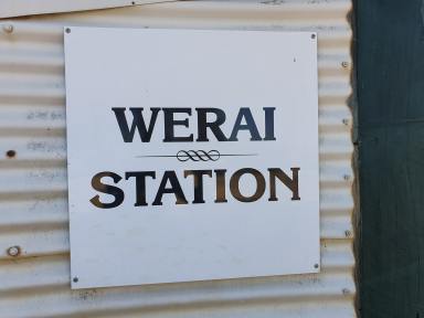 Farm For Sale - NSW - Deniliquin - 2710 - Werai Station  (Image 2)