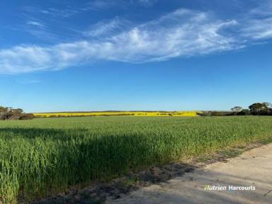 Farm For Sale - WA - Pingaring - 6357 - "Stent's"  (Image 2)