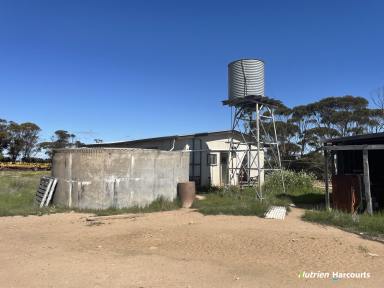 Farm For Sale - WA - Pingaring - 6357 - "Stent's"  (Image 2)