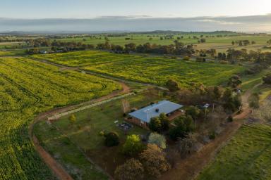 Farm Sold - NSW - Wagga Wagga - 2650 - Country Life or Land Bank mins to Wagga  (Image 2)