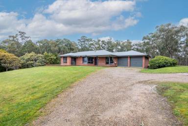 Farm Sold - VIC - Scarsdale - 3351 - Modern Family Home With Great Shedding And Privacy.  (Image 2)