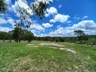 Farm Sold - QLD - Crows Nest - 4355 - Discover Your Dream Lifestyle in Crows Nest - 5 Acres, Brick home, 4 Beds, 2 Baths + large shed.  (Image 2)