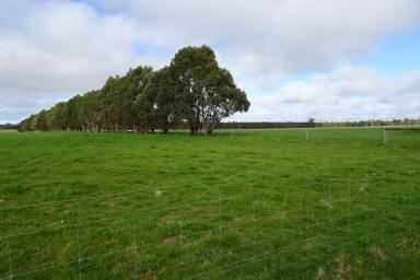 Farm Sold - WA - Kendenup - 6323 - Quality Farmland in Blue Ribbon Location  (Image 2)