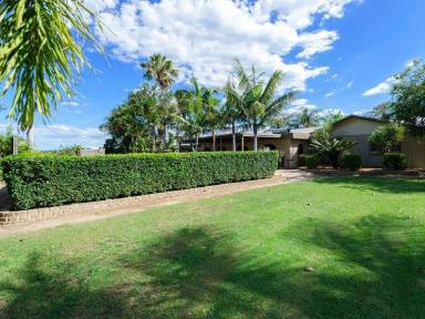 Farm Sold - QLD - South Kolan - 4670 - PLENTY OF WATER - PRICED TO SELL  (Image 2)