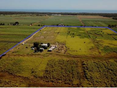 Farm For Sale - QLD - Welcome Creek - 4670 - Farming Property with Large Bore irrigation Allocation  (Image 2)
