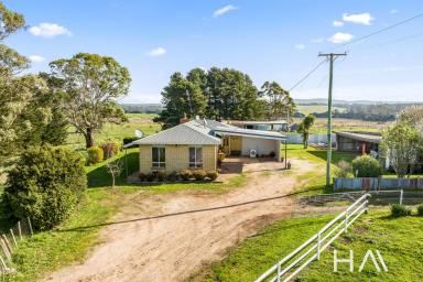 Farm For Sale - TAS - Pipers River - 7252 - Pipers Lodge  (Image 2)