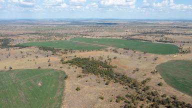 Farm For Sale - QLD - Anakie Siding - 4702 - Emerald mixed farming aggregation with two sizeable homes and complementing silo complex.  (Image 2)