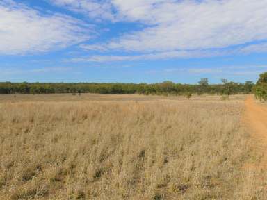 Farm Sold - QLD - Roma - 4455 - Development Opportunity  (Image 2)