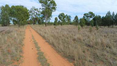 Farm Sold - QLD - Roma - 4455 - Development Opportunity  (Image 2)