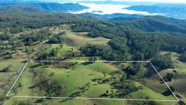 Farm For Sale - QLD - Bellthorpe - 4514 - HINTERLAND RETREAT  (Image 2)