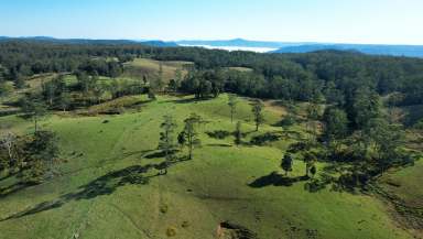 Farm For Sale - QLD - Bellthorpe - 4514 - HINTERLAND RETREAT  (Image 2)