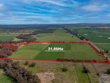 Farm For Sale - NSW - Culcairn - 2660 - Perfect Add-on, Starter, Recreation  (Image 2)