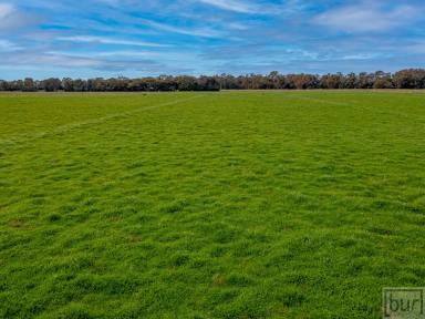 Farm For Sale - NSW - Culcairn - 2660 - Perfect Add-on, Starter, Recreation  (Image 2)