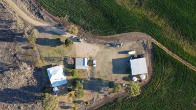 Farm For Sale - NSW - Delungra - 2403 - 'Spring Haven' Delungra  (Image 2)