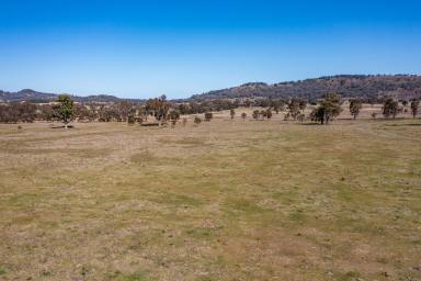 Farm Sold - NSW - Rylstone - 2849 - Your Weekend Escape  (Image 2)